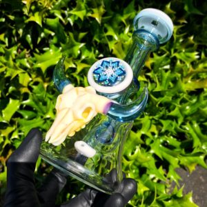 Steve H x HicDog Collab