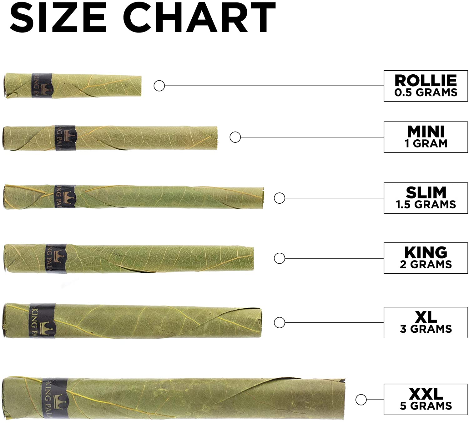 King Palm - Assorted Sizes & Packs - Image 2