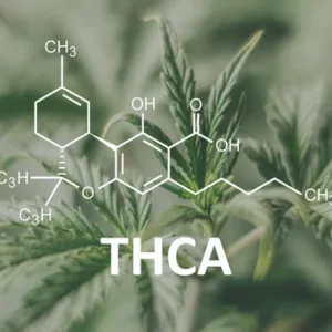 Hemp THC - Flower
